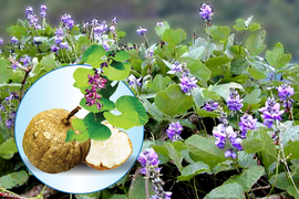 Chị em mách nhau bí kíp khiến chồng chao đảo cả ngày lẫn đêm