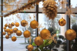 Mường Thanh tưng bừng chuẩn bị chương trình thắp sáng cây thông Noel