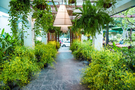 Lần đầu tiên Ngon Garden mang hương cải đồng nội về Hà Thành