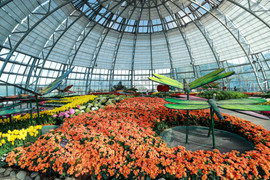 Đón giáng sinh, năm mới phong cách Châu Âu ngay giữa Nha Trang