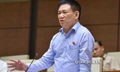 Tổng kiểm toán: Trốn thuế, chuyển giá rất nhức nhối