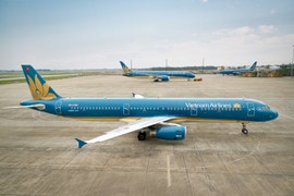 Vietnam Airlines và Jetstar Pacific vận chuyển cành đào, cành mai dịp Tết Nguyên Đán Kỷ Hợi 2019
