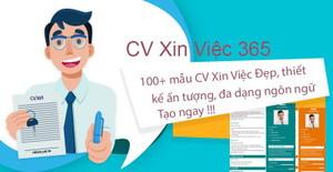 Timviec365.vn trao chọn cơ hội việc làm cho người tìm việc