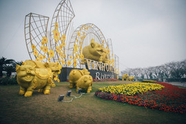 Cư dân Vinhomes rộn ràng vui xuân đón Tết Kỷ Hợi 2019