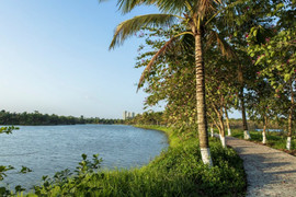 Lễ hội Xuân Ecopark Tết Kỷ hợi: Ấn tượng và khác biệt