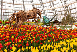 Vinpearl: Điểm đến của du khách nước ngoài mùa Tết 2019