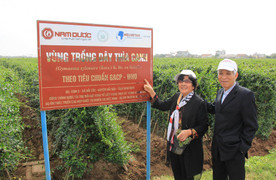 Liên tiếp chết oan do dùng sản phẩm trị tiểu đường trôi nổi