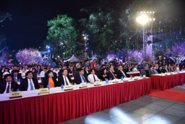 Khai mạc lễ hội hoa anh đào Nhật Bản - Hà Nội 2019