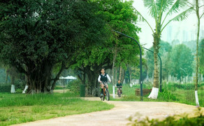 Sự thật về chất lượng không khí tại Ecopark