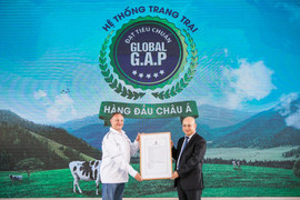 Người tiêu dùng hưởng lợi từ những 'resort' bò sữa chuẩn Global G.A.P của Vinamilk
