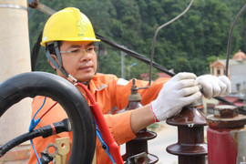 EVN Miền Bắc báo cáo tình hình hoạt động tháng 04/2019