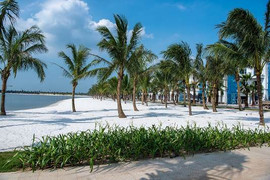 Cư dân Vinhomes Ocean Park tận hưởng 'vitamin sea' ngay tại nhà