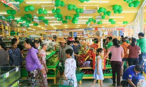 Thị trường tỉnh sẽ là 'con gà đẻ trứng vàng' cho Bách hóa Xanh