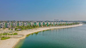 Chủ đầu tư thả 50 tấn cá xuống hồ Vinhomes Ocean Park, cần thủ thỏa sức so tài