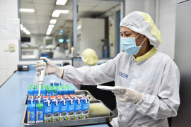 Cô Gái Hà Lan mở lối đổi mới sáng tạo cho tỷ ly sữa như một trên toàn cầu