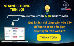 Dịch vụ điện trực tuyến cấp độ 4: Cấp độ đột phá trong ngành Điện