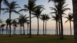 Lý giải sức hút đầu tư từ Movenpick Resort Cam Ranh