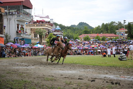 'Vó ngựa trên mây': Giải đua ngựa lần đầu tiên được tổ chức tại Fansipan