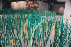 Con người ở đâu trong 'Hành tinh của nhựa'?