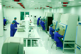 Công bố chấn động về gen: Người Việt có nguồn gốc từ châu Phi?