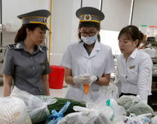 Cảnh báo đối tượng mạo danh cán bộ Chi cục An toàn vệ sinh thực phẩm tỉnh Phú Thọ để bán sách