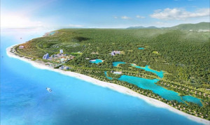 Novaland báo cáo Thường vụ tỉnh ủy Bà Rịa – Vũng Tàu phương án đầu tư dự án ‘khủng’ Safari Hồ Tràm