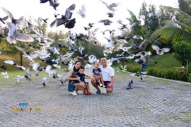 Khám phá FLC Zoo Safari Park – Vườn thú bán hoang dã độc đáo tại Quy Nhơn