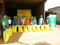 DPM tiếp tục tiết giảm mạnh chi phí