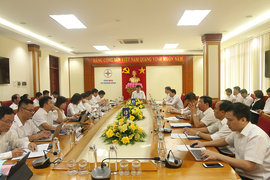 Phó Tổng giám đốc EVNNPC làm việc với Công ty Điện lực Quảng Ninh