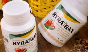 Website http://www.gankhoesonglau.online quảng cáo thực phẩm bảo vệ sức khỏe trái quy định