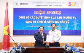 Công bố và trao các Quyết định về công tác cán bộ của Đảng bộ Công ty Điện lực Hà Nam