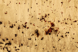 'Tỏa 3' – Cuộc thử nghiệm táo bạo của nghệ thuật đương đại