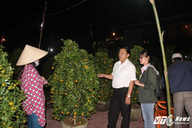 Đêm 30 Tết: 'Hoa cười người khóc' tại vùng rốn lũ Bình Định