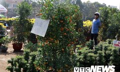 Chủ buôn hoa ở Bình Định đồng loạt giảm giá, xả hàng để kịp về đón giao thừa