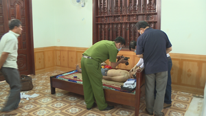 Cha bàng hoàng thấy con trai treo cổ tại vườn điều