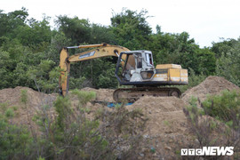 Nhận được tin khai thác cát trái phép: Phó Chủ tịch tỉnh Bình Thuận chỉ đạo khẩn cấp