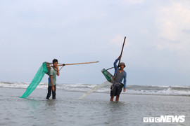 Ảnh: Dân Bình Thuận cào chang chang từ sáng sớm trên biển, kiếm tiền triệu mỗi ngày