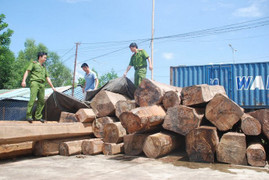 13 trường hợp ở Đắk Lắk bị khai trừ khỏi Đảng