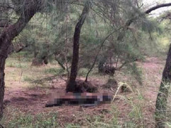 Thi thể người phụ nữ trên núi, nghi bị đánh chết khi đi cắt cỏ ở Gia Lai