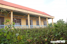 Cận cảnh trung tâm dạy nghề ở Đắk Lắk hàng chục tỷ đồng bị bỏ hoang, cỏ mọc cao ngang đầu