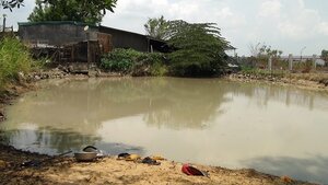 Rủ nhau ra hồ tắm, 3 học sinh tiểu học chết đuối ở Gia Lai