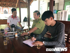 Xe tải chở 8 tấn gỗ lậu biến mất khó hiểu: UBND tỉnh Gia Lai yêu cầu làm rõ