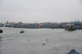 Bão số 6 sắp đổ bộ: Bình Định khẩn trương di dời dân vùng ven biển