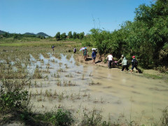 Đắk Lắk ngập nặng sau bão, học sinh lội ruộng đến trường