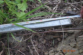 Can ngăn cãi nhau, bị em cột chèo đánh chết