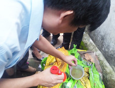 'Ăn theo' năm nhuận, muỗi vằn tác oai tác quái