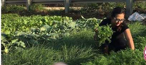 Cuộc sống của BTV Vân Anh sau khi chia tay VTV