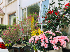 Bất ngờ với nhà của các MC nổi tiếng VTV Hoa Thanh Tùng, Nguyễn Hoàng Linh