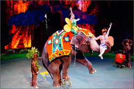 Rạp xiếc Trung ương mang nhiều tiết mục mang tầm cỡ quốc tế đi lưu diễn