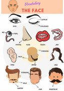 Từ vựng tiếng Anh chỉ các chi tiết trên khuôn mặt